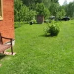 Газон на дачі (39 фото) спортивний, відео-інструкція з оформлення на дачній ділянці своїми руками (дачі) Газон на дачі (39 фото) спортивний, відео-інструкція з оформлення на дачній ділянці своїми руками