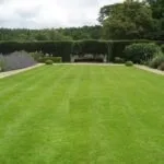 Газон на дачі (39 фото) спортивний, відео-інструкція з оформлення на дачній ділянці своїми руками (спортивний) Газон на дачі (39 фото) спортивний, відео-інструкція з оформлення на дачній ділянці своїми руками