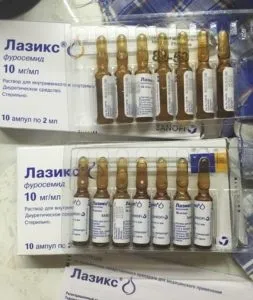 Гіпертрофтческая кардіоміопатія у кішок симптоми, лікування, в тому числі у британських кішок, скільки (кішок) Гіпертрофтческая кардіоміопатія у кішок симптоми, лікування, в тому числі у британських кішок, скільки