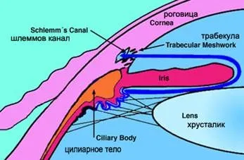 глаукома очі