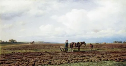 Граки прилетіли