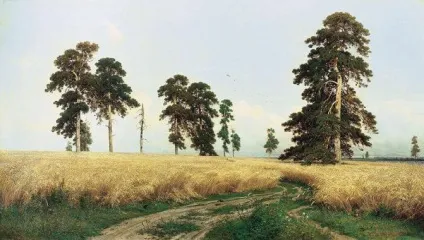 Граки прилетіли