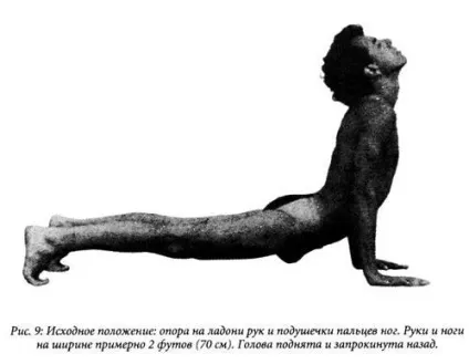 Глава 6 п'ять тибетців