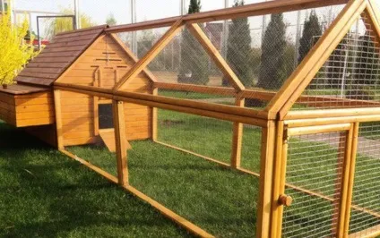 Як зробити курник своїми руками для бройлерів в домашніх умовах креслення, фото і відео матеріали (креслення) Як зробити курник своїми руками для бройлерів в домашніх умовах креслення, фото і відео матеріали