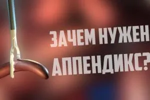 Густав Клімт картини, творчість, біографія (густав) Густав Клімт картини, творчість, біографія