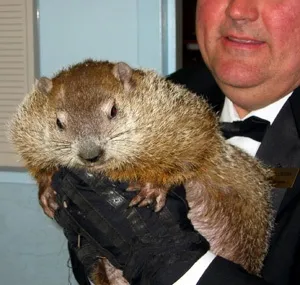 Groundhog day 1