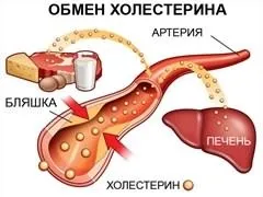 Імбир для серця
