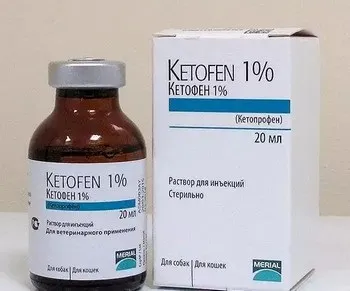 Інструкція по застосуванню кетофена для кішок (інструкція) Інструкція по застосуванню кетофена для кішок