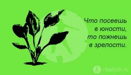 Цікаві картинки про мрії та цілі