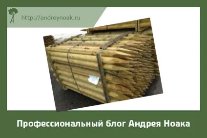 Імпрегнірованіє деревини технологія і застосування (імпрегнірованіє) Імпрегнірованіє деревини технологія і застосування