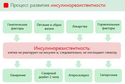 Інсулінорезистентність - симптоми, причини, дієта і лікування синдрому стійкості до дії