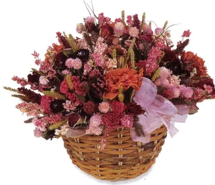 Інгаляції з ефірними маслами ефект від лікування, зечем потрібно (маслами) Інгаляції з ефірними маслами ефект від лікування, зечем потрібно