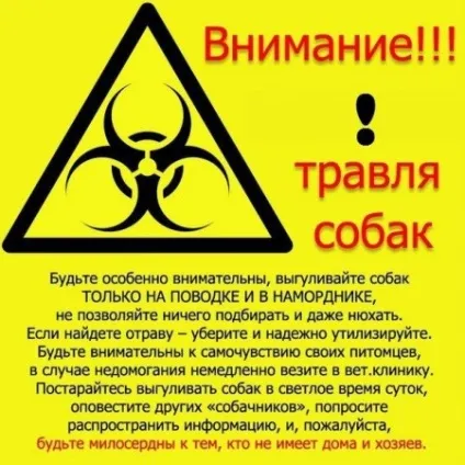 Інструкція як врятувати собаку від отруєння (ложка стакан води) Інструкція як врятувати собаку від отруєння