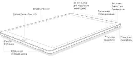 Ipad pro - великий планшет від apple