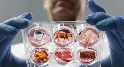 Історія гмо продуктів харчування - харчування (генетично модифікованих продуктів) Історія гмо продуктів харчування - харчування