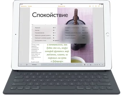 Ipad pro - великий планшет від apple