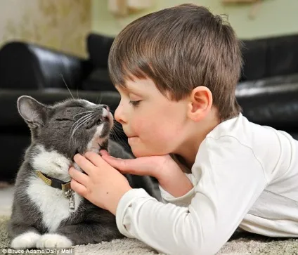 Цілюща дружба кота і дитини (кота) Цілюща дружба кота і дитини