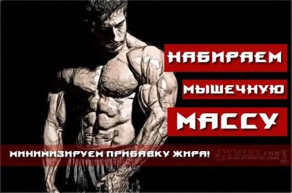 Як швидко набрати м'язову масу (масу) Як швидко набрати м'язову масу
