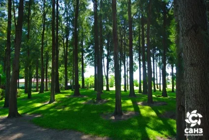 З Кемера до Анталії самостійно аквапарк, лунапарк, Мігрос, санз (аквапарк Акваленд) З Кемера до Анталії самостійно аквапарк, лунапарк, Мігрос, санз