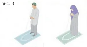 Як Новомосковскть вітрина намаз (вітрина) Як Новомосковскть вітрина намаз