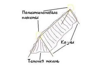 Які засоби ефективні від гедзів, оводів і шершнів (гедзів) Які засоби ефективні від гедзів, оводів і шершнів