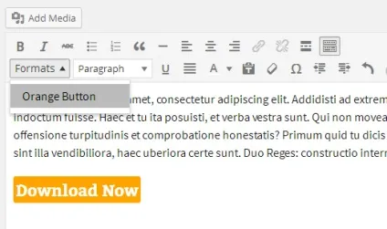 Як додати власні стилі в візуальний редактор wordpress