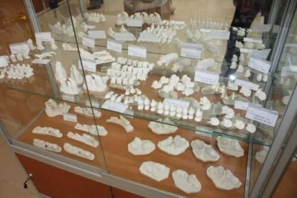 Як роблять вироби з кістки, різьблення по дереву, кістки і каменю (вироби) Як роблять вироби з кістки, різьблення по дереву, кістки і каменю