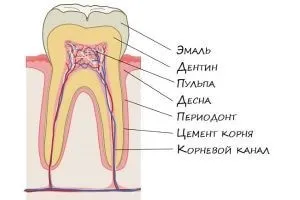Як куріння впливає на зуби шкода куріння для зубів (шкода) Як куріння впливає на зуби шкода куріння для зубів