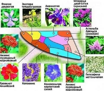 Як красиво посадити квіти на дачній ділянці принципи квіткової композиції