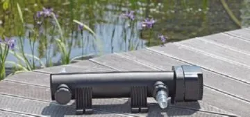 Якими способами модно зробити якісну очистку ставка від водоростей