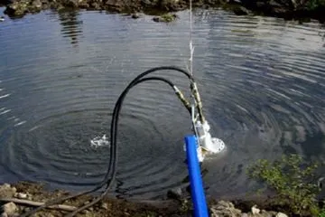 Якими способами модно зробити якісну очистку ставка від водоростей