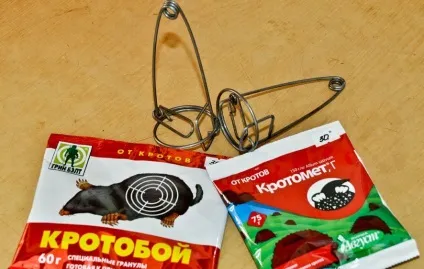 Як позбавиться від кротів на садовій ділянці