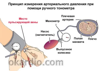 Як міряти тиск ручним тонометром інструкція, часті помилки (ручним) Як міряти тиск ручним тонометром інструкція, часті помилки