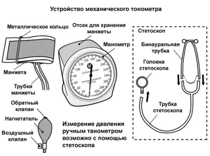 Як міряти тиск ручним тонометром інструкція, часті помилки (тонометром) Як міряти тиск ручним тонометром інструкція, часті помилки
