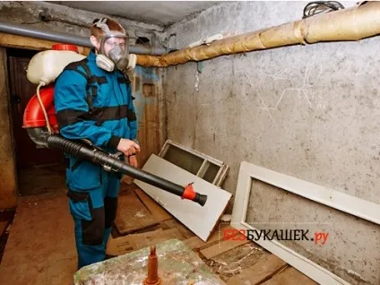Як позбавиться від підвальних бліх способи обробки для квартири і підвалу (бліх) Як позбавиться від підвальних бліх способи обробки для квартири і підвалу
