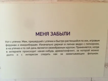 Як ми відкрили музей мемів в Харкові на фестивалі «вконтакте»