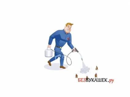 Як позбавиться від підвальних бліх способи обробки для квартири і підвалу (бліх) Як позбавиться від підвальних бліх способи обробки для квартири і підвалу
