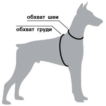 Як виміряти собаку для шлейкі- розміри шлеек для собак (розміри) Як виміряти собаку для шлейкі- розміри шлеек для собак
