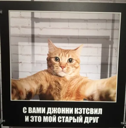 Як ми відкрили музей мемів в Харкові на фестивалі «вконтакте»