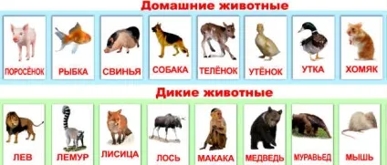 Як навчити дитину Новомосковскть 3 ефективні методики (дитини) Як навчити дитину Новомосковскть 3 ефективні методики