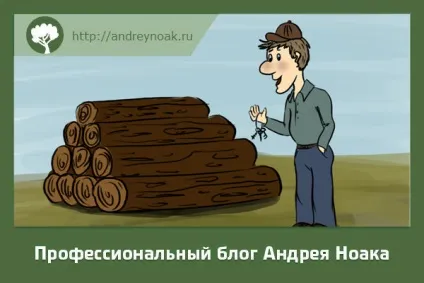 Як налаштувати стрічкову пилораму - від алтая до мв2000 (пилораму) Як налаштувати стрічкову пилораму - від алтая до мв2000