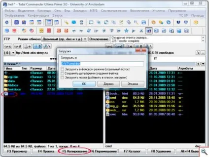 Як налаштувати ftp робота з фтп клієнтами - ячайнік - сайт для справжніх чайників (cuteftp professional) Як налаштувати ftp робота з фтп клієнтами - ячайнік - сайт для справжніх чайників