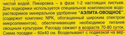 Як визначити терміни посадки розсади (посадка розсади) Як визначити терміни посадки розсади