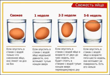 Як визначити свіжість курячого яйця і як правильно їх зберігати (свіжість) Як визначити свіжість курячого яйця і як правильно їх зберігати