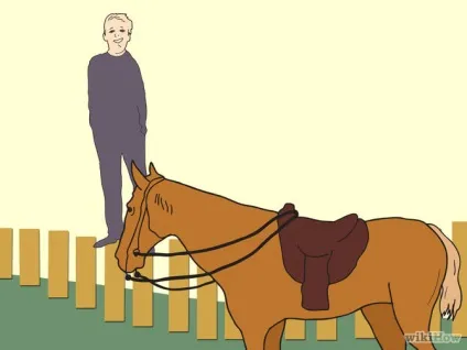 Як об'їздити коня