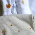 Як відіпрати масло обліпихи (відіпрати) Як відіпрати масло обліпихи