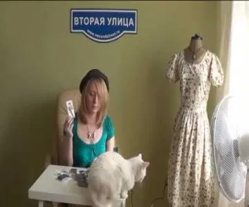 Як перенести малюнок на стіну (Лайфхак) Як перенести малюнок на стіну
