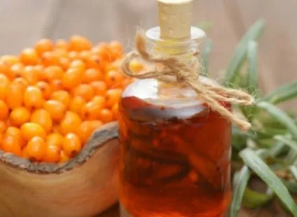 Як пити і приймати масло обліпихи при гастриті - лікування обліпиховою олією (приймати) Як пити і приймати масло обліпихи при гастриті - лікування обліпиховою олією
