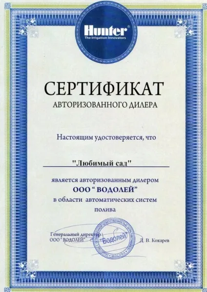 Як відремонтувати газон