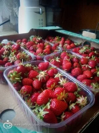 Як зрозуміти що літо прийшло
